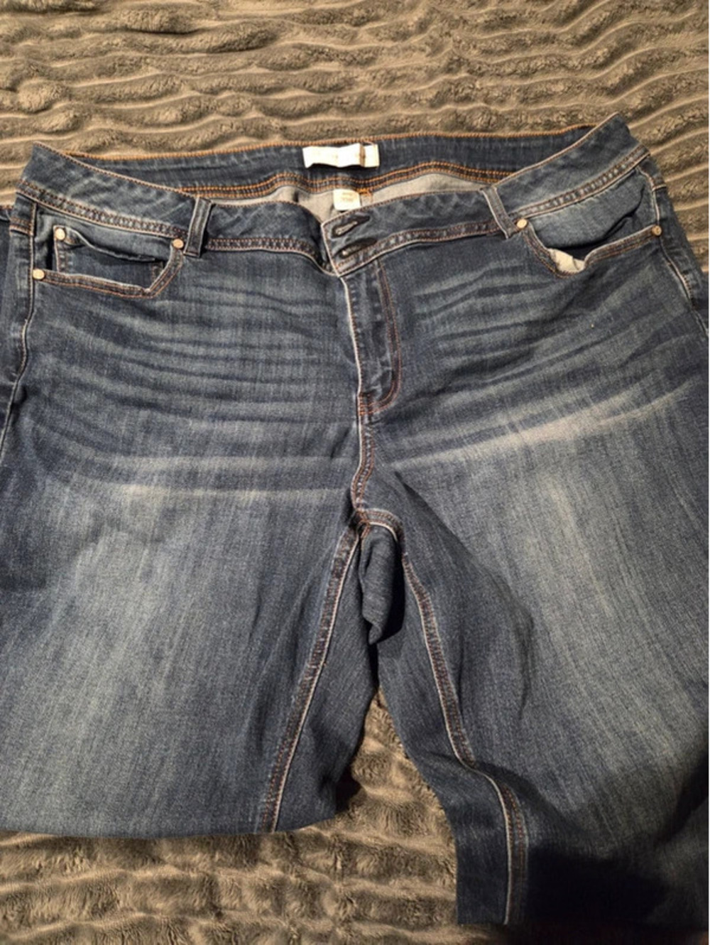 Cato size 20